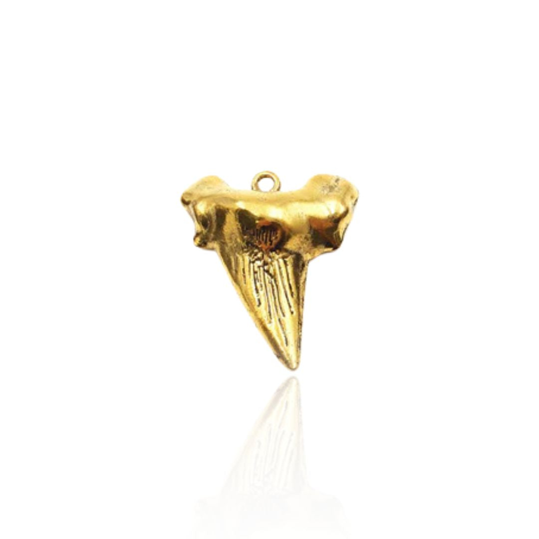 Shark Tooth Charm