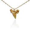 Shark Tooth Necklace