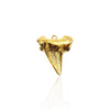 Shark Tooth Charm
