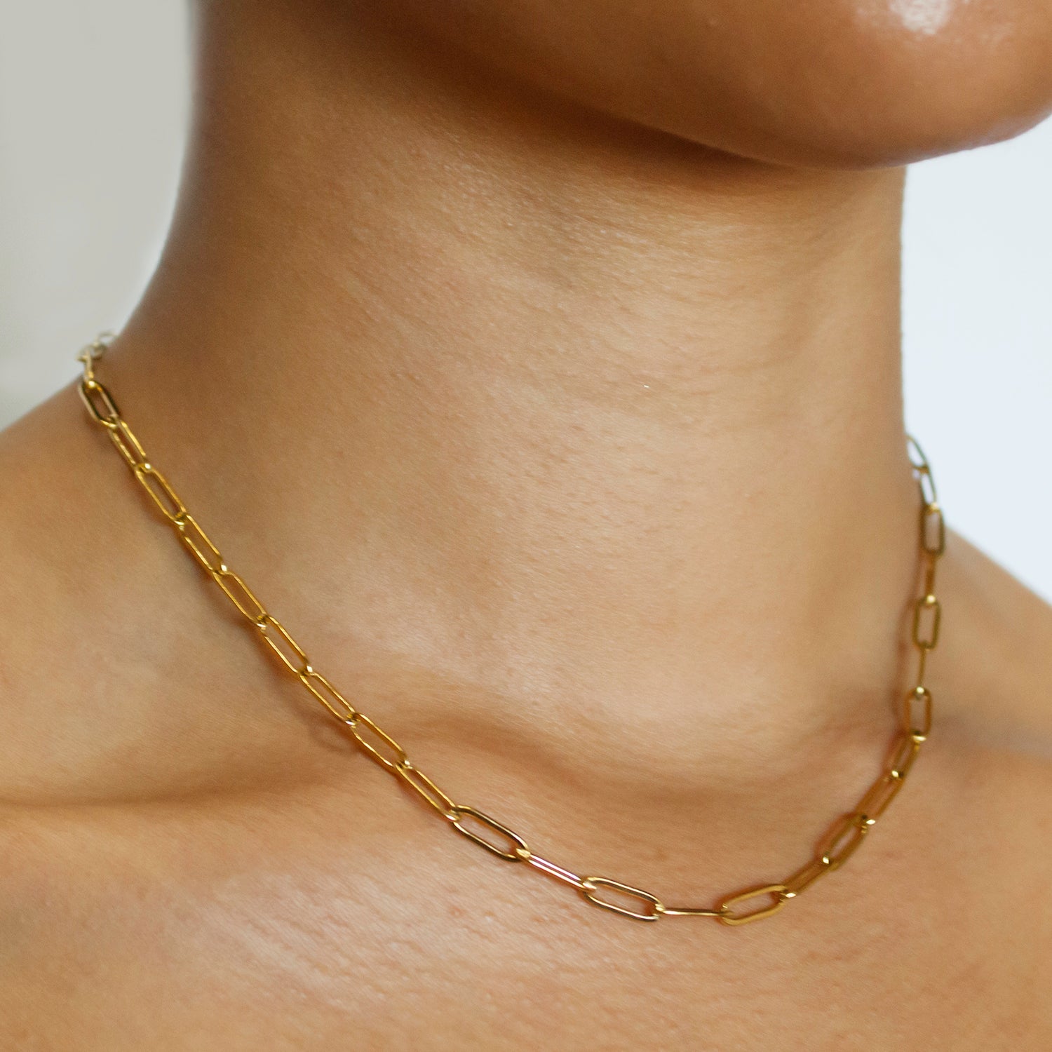 Ali Silver Paperclip Necklace