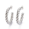 Janelle Silver Earrings